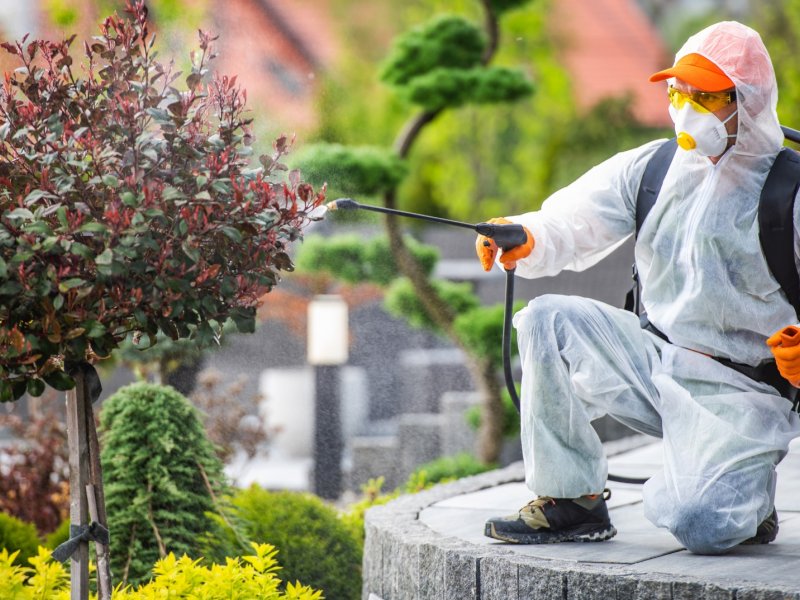 Çamlıyayla Haşere İlaçlama